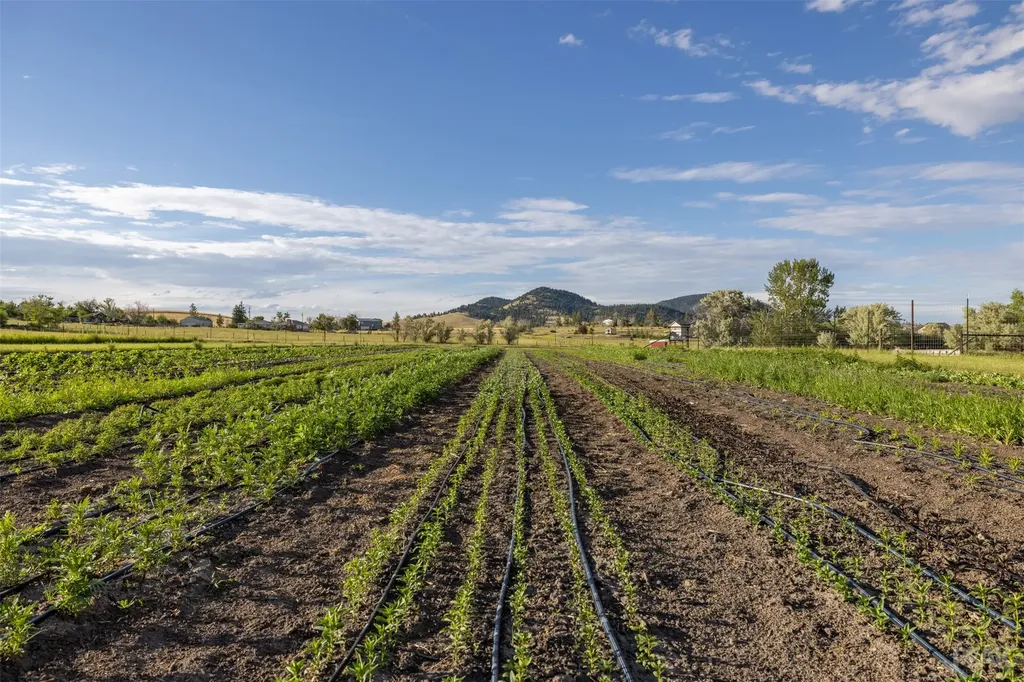 3980 Barrett Road Helena MT 59602