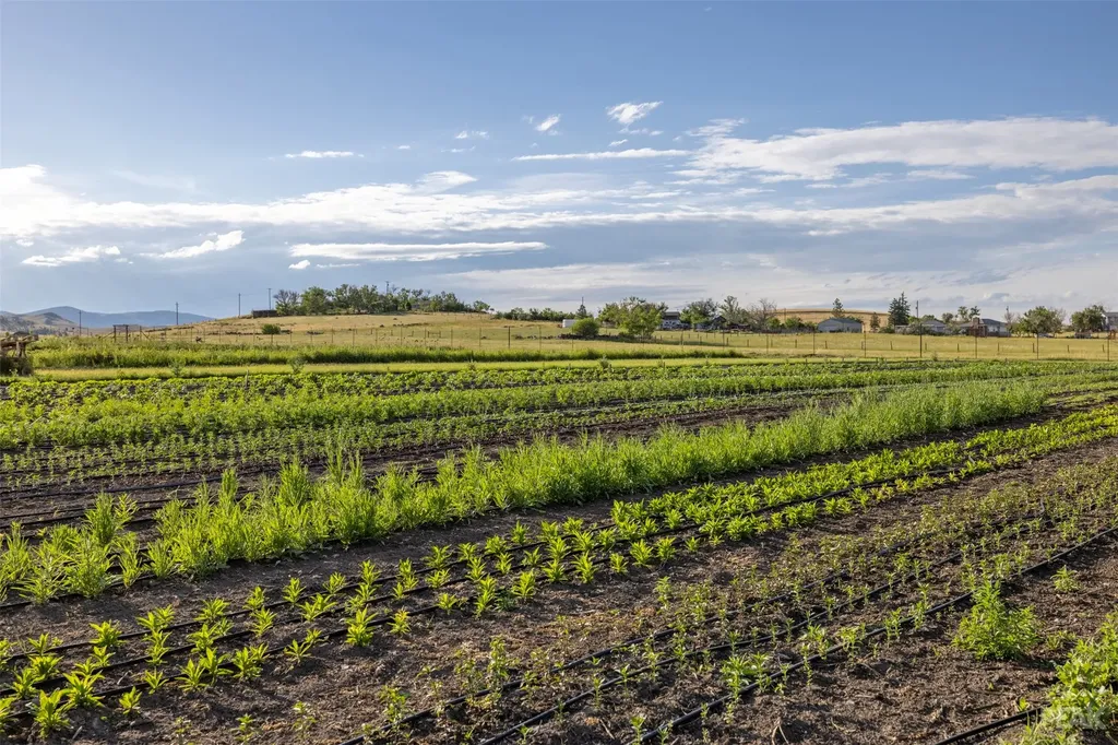 3980 Barrett Road Helena MT 59602