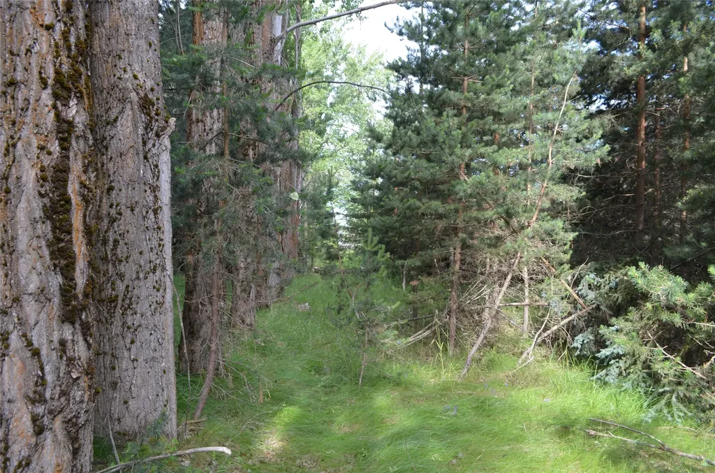 73 Sweet Lane Kalispell MT 59901