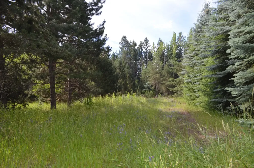 73 Sweet Lane Kalispell MT 59901