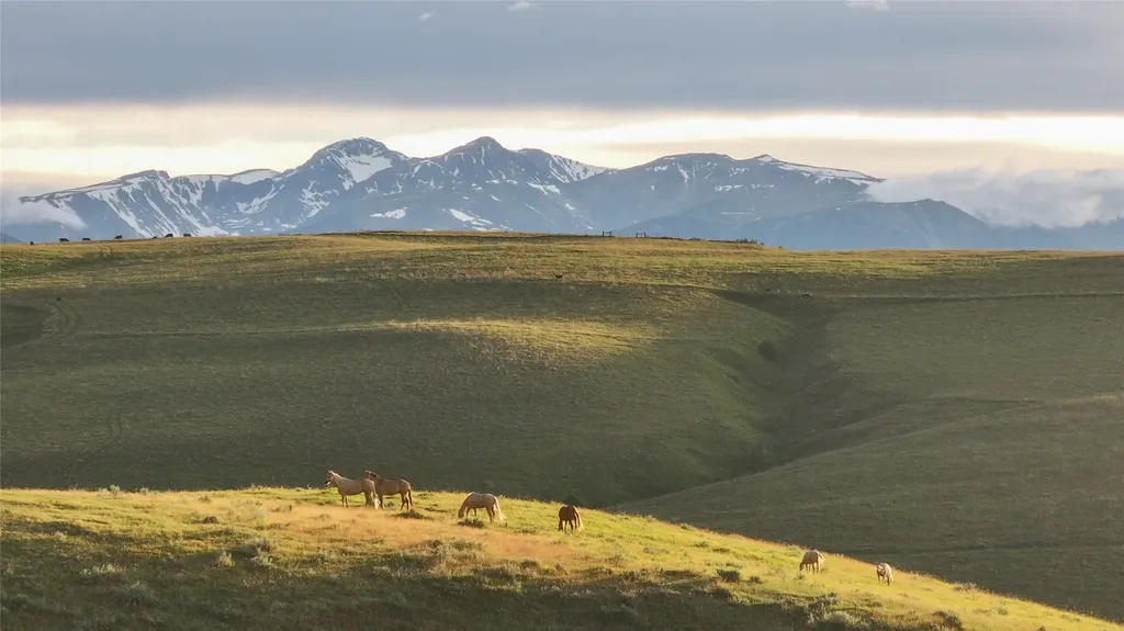 581 Willow Creek Road Red Lodge MT 59068