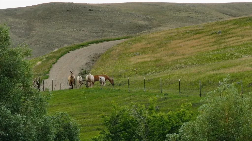 581 Willow Creek Road Red Lodge MT 59068