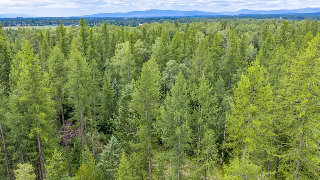 2226 Tamarack Lane Columbia Falls MT 59912