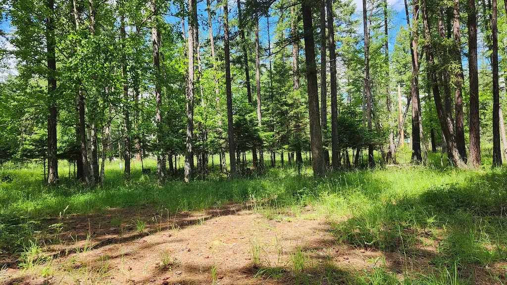 12430 Rippling Waters Road Bigfork MT 59911