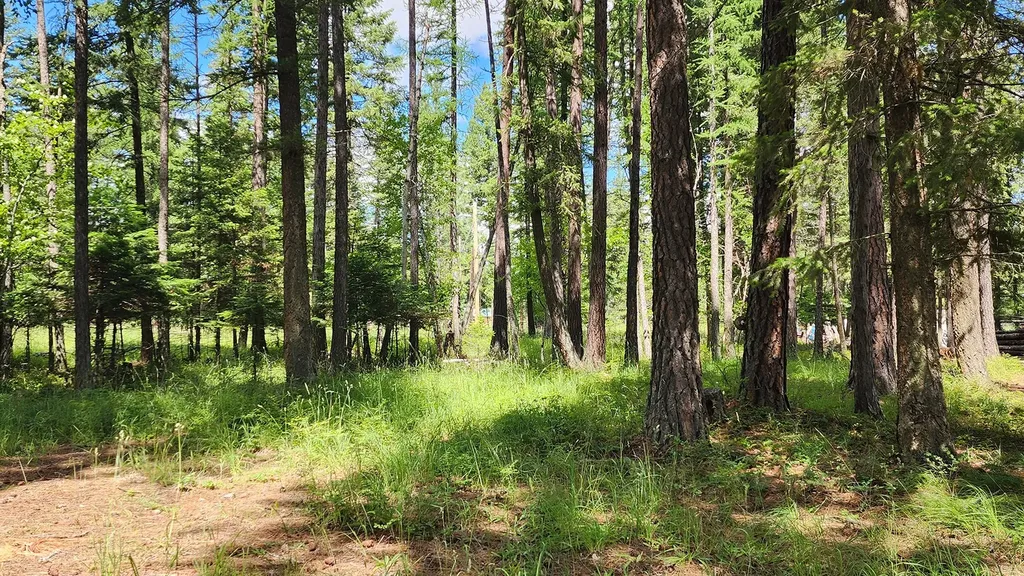 12430 Rippling Waters Road Bigfork MT 59911