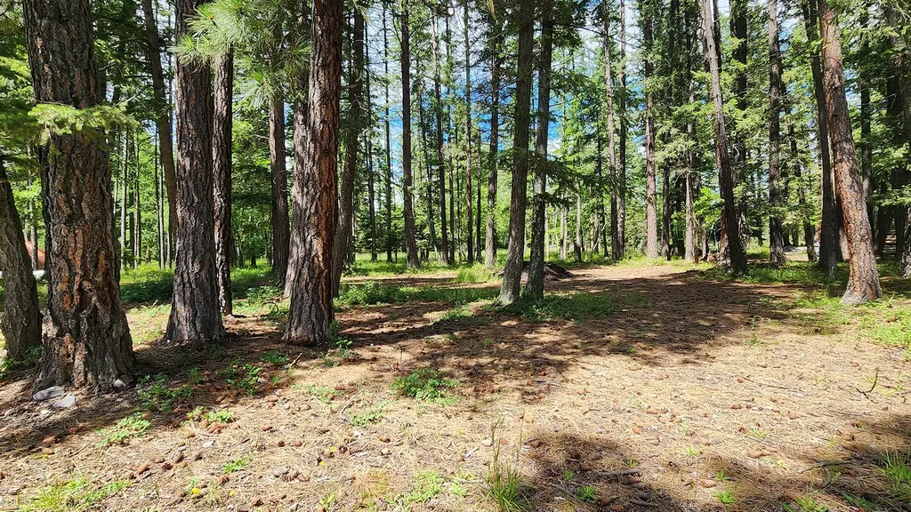 12430 Rippling Waters Road Bigfork MT 59911
