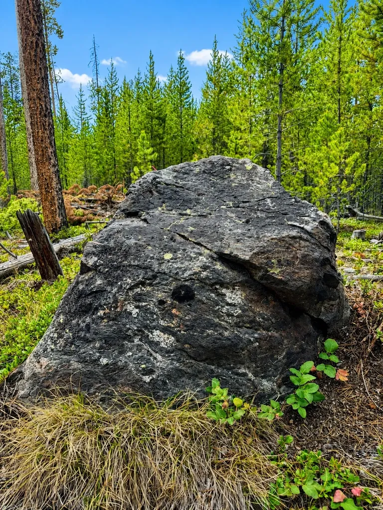 Lot 8 Tbd Mitchell Lane Anaconda MT 59711