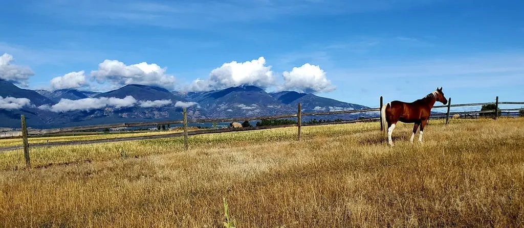 548 Pat Lane Stevensville MT 59870