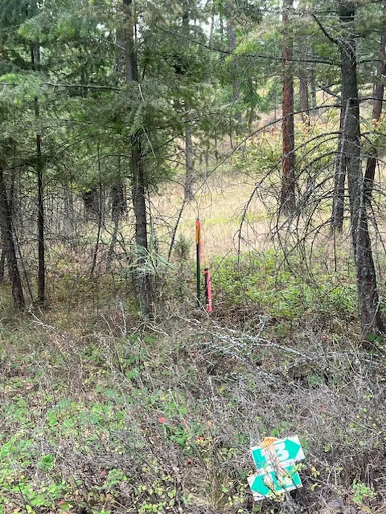 300 Lynx Drive Polson MT 59860