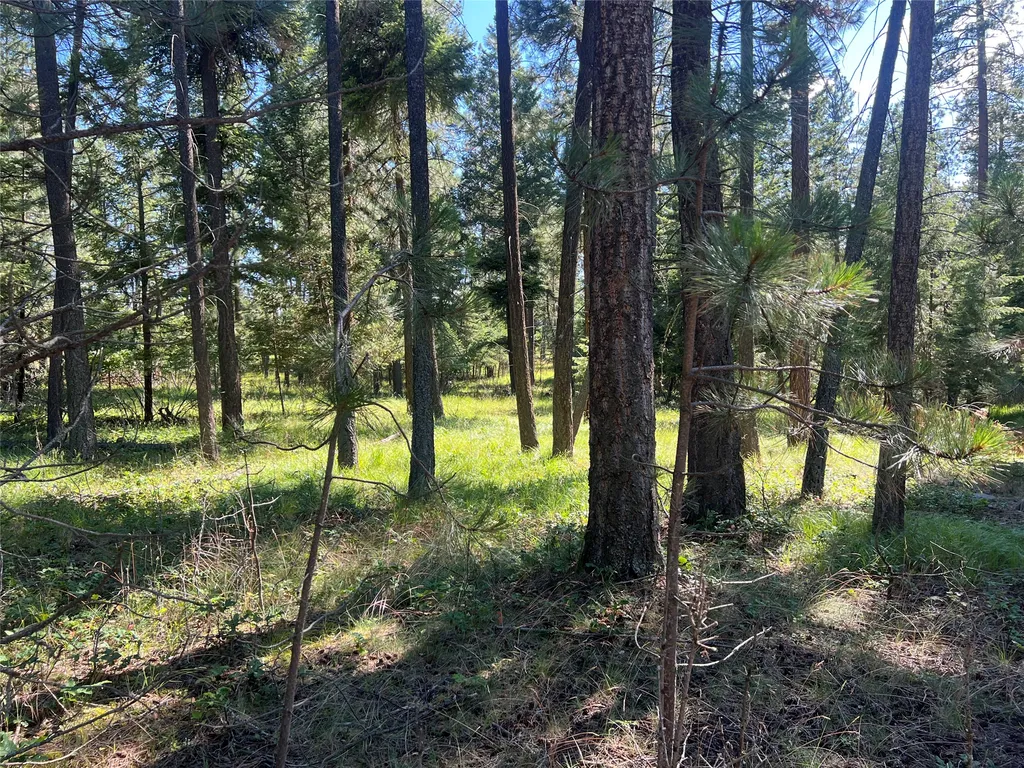 300 Lynx Drive Polson MT 59860