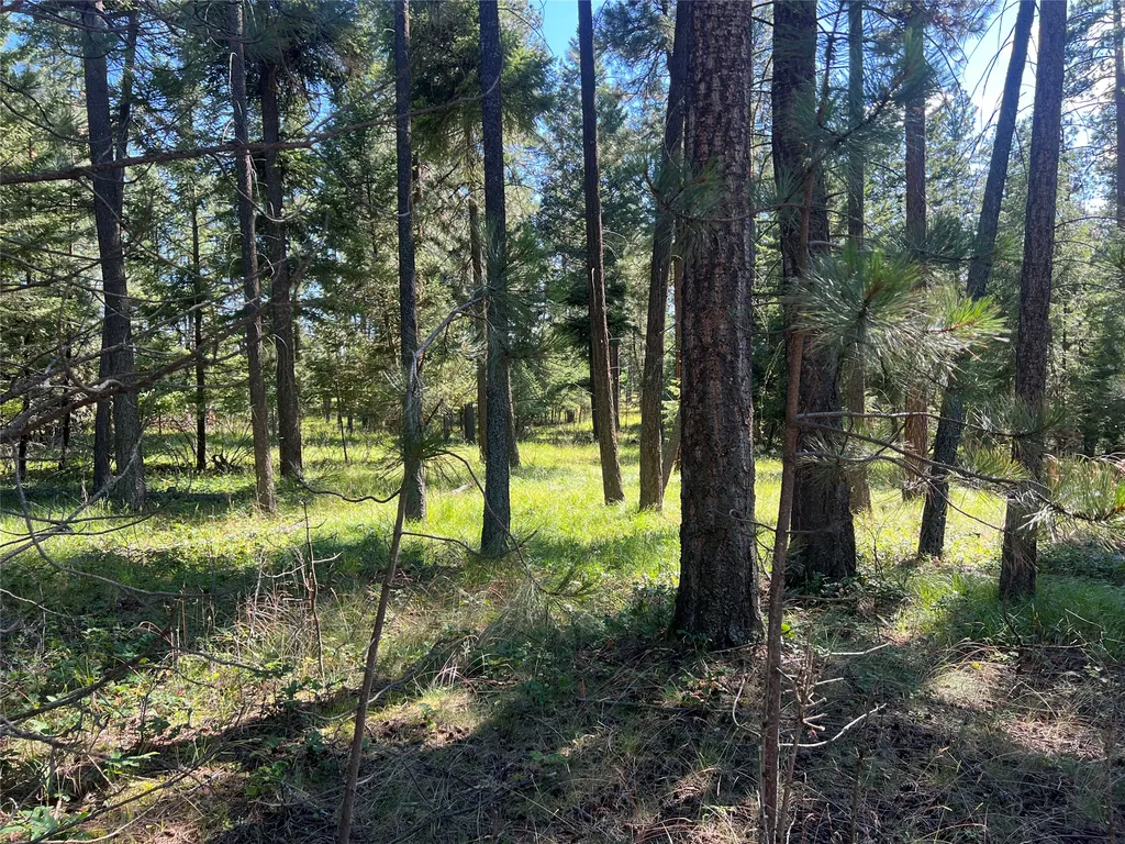 300 Lynx Drive Polson MT 59860