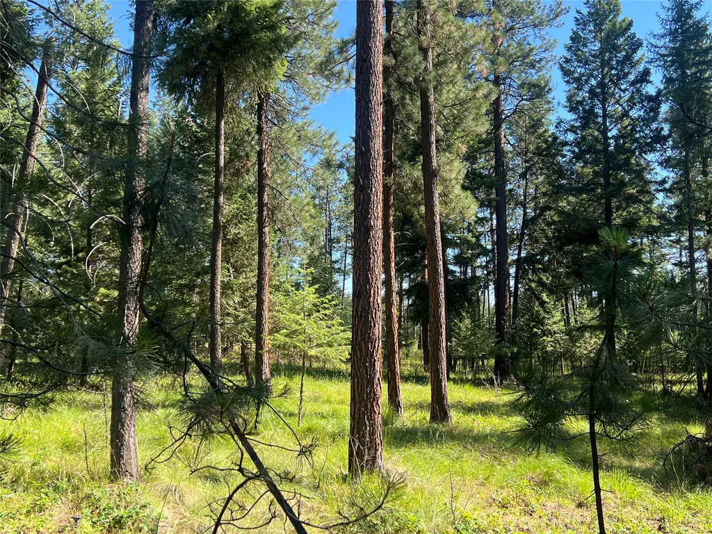 300 Lynx Drive Polson MT 59860