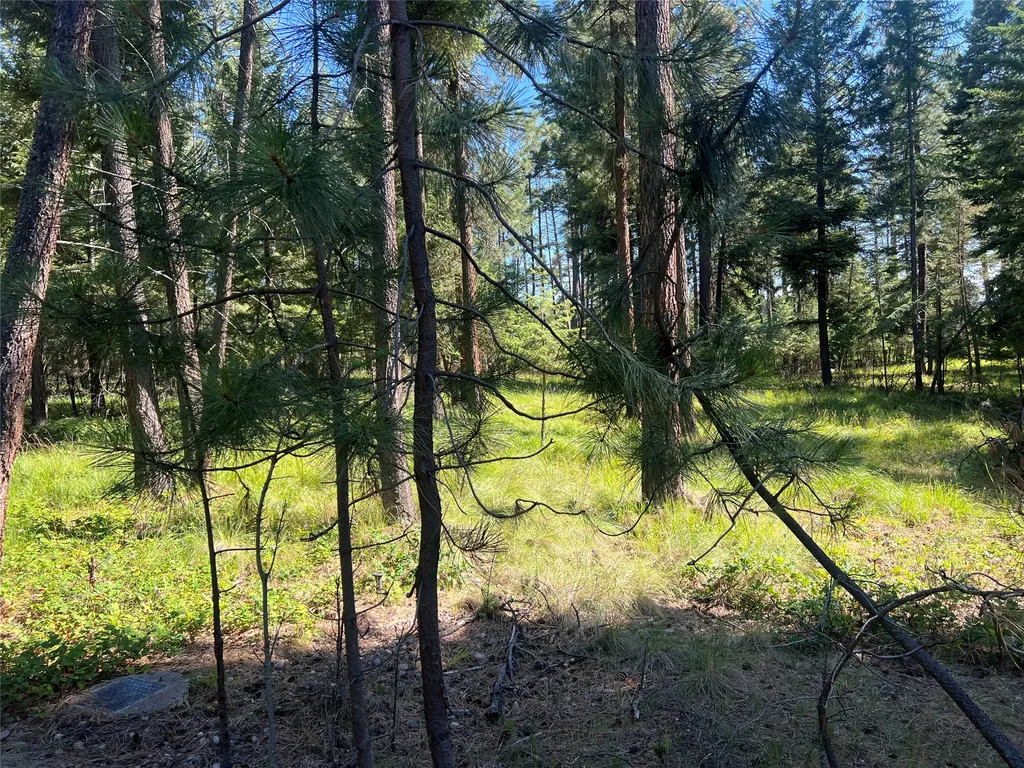 300 Lynx Drive Polson MT 59860