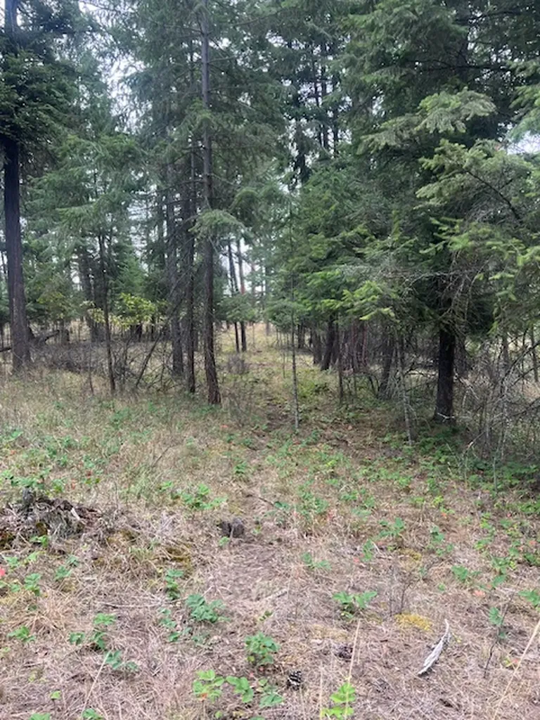 300 Lynx Drive Polson MT 59860