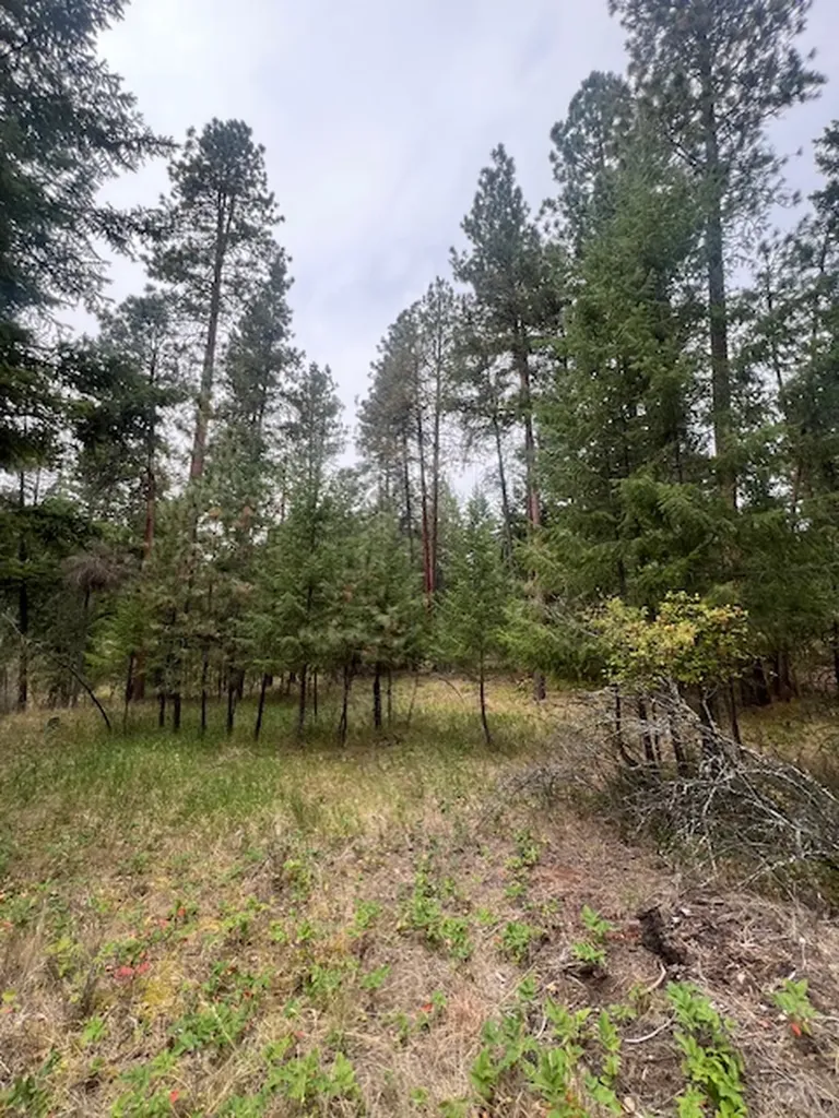 300 Lynx Drive Polson MT 59860