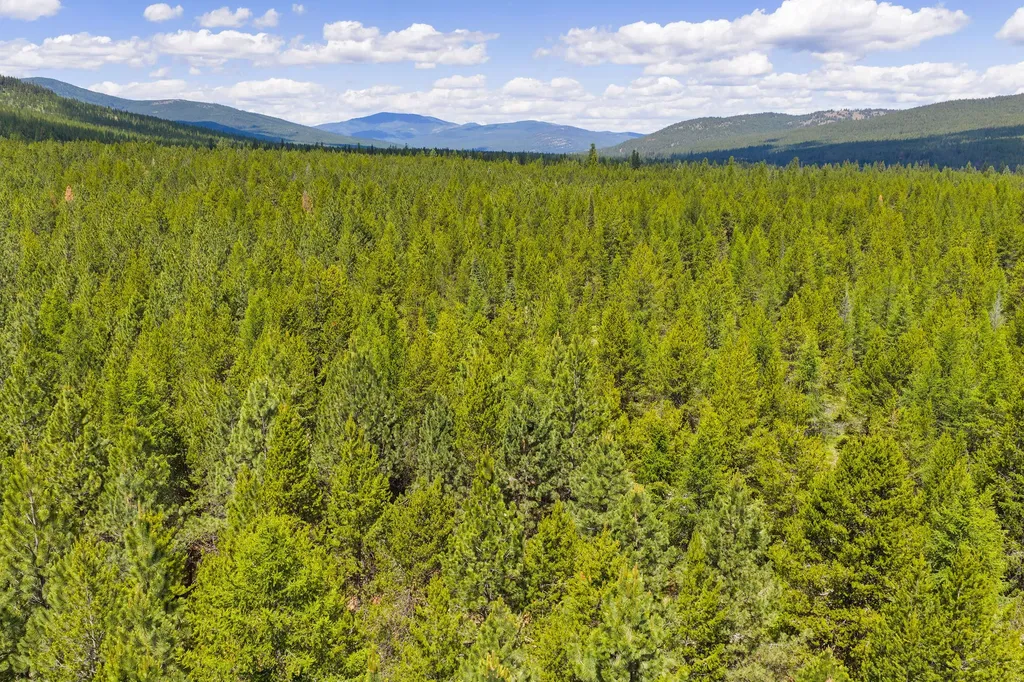 9295 Lost Prairie Road Marion MT 59925