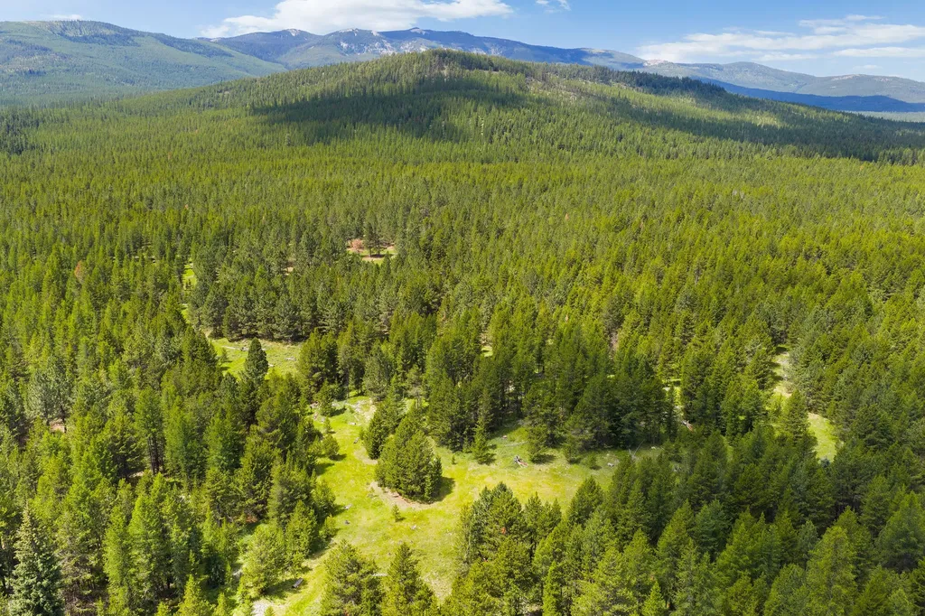 9295 Lost Prairie Road Marion MT 59925