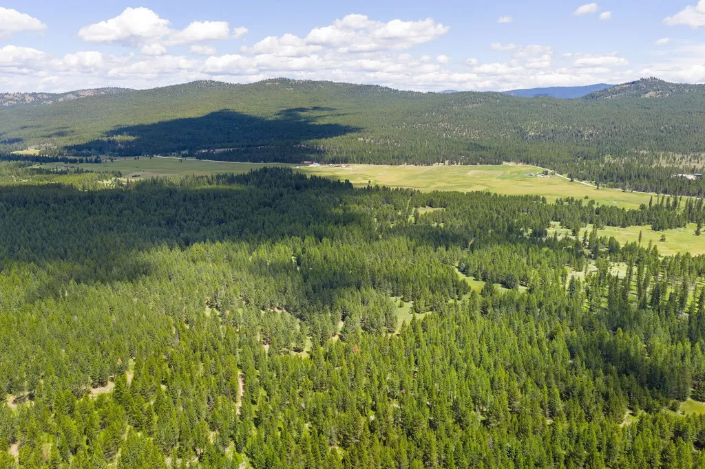 9295 Lost Prairie Road Marion MT 59925