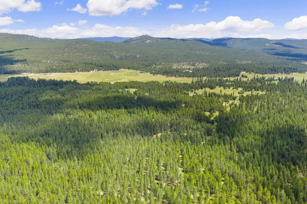 9295 Lost Prairie Road Marion MT 59925