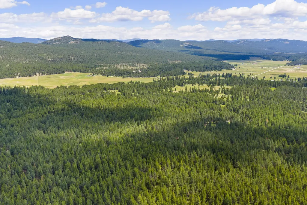 9295 Lost Prairie Road Marion MT 59925