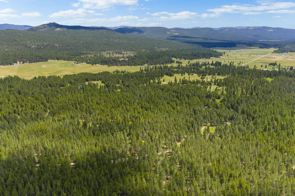 9295 Lost Prairie Road Marion MT 59925