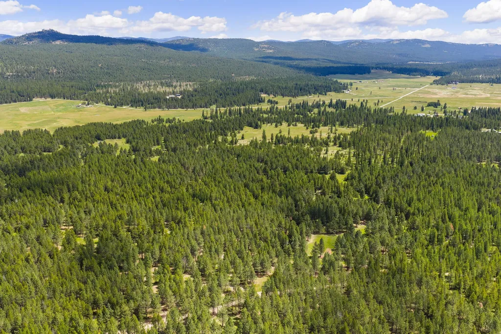 9295 Lost Prairie Road Marion MT 59925