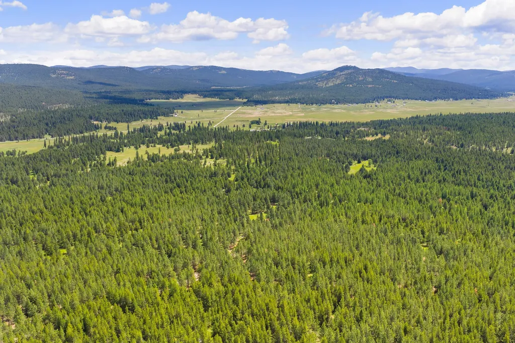 9295 Lost Prairie Road Marion MT 59925