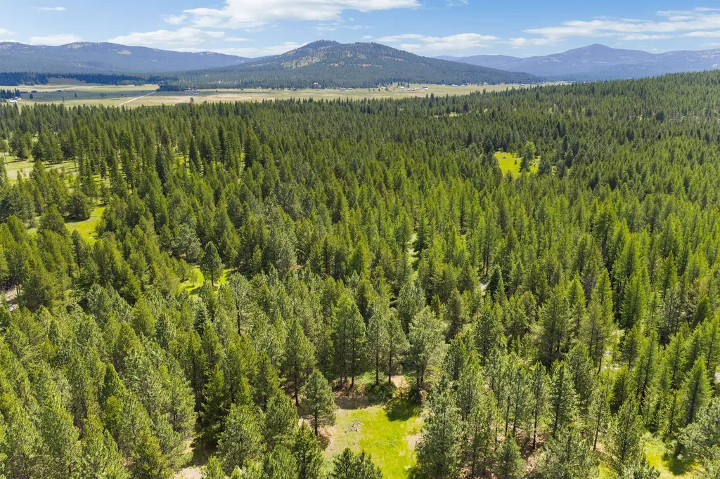 9295 Lost Prairie Road Marion MT 59925