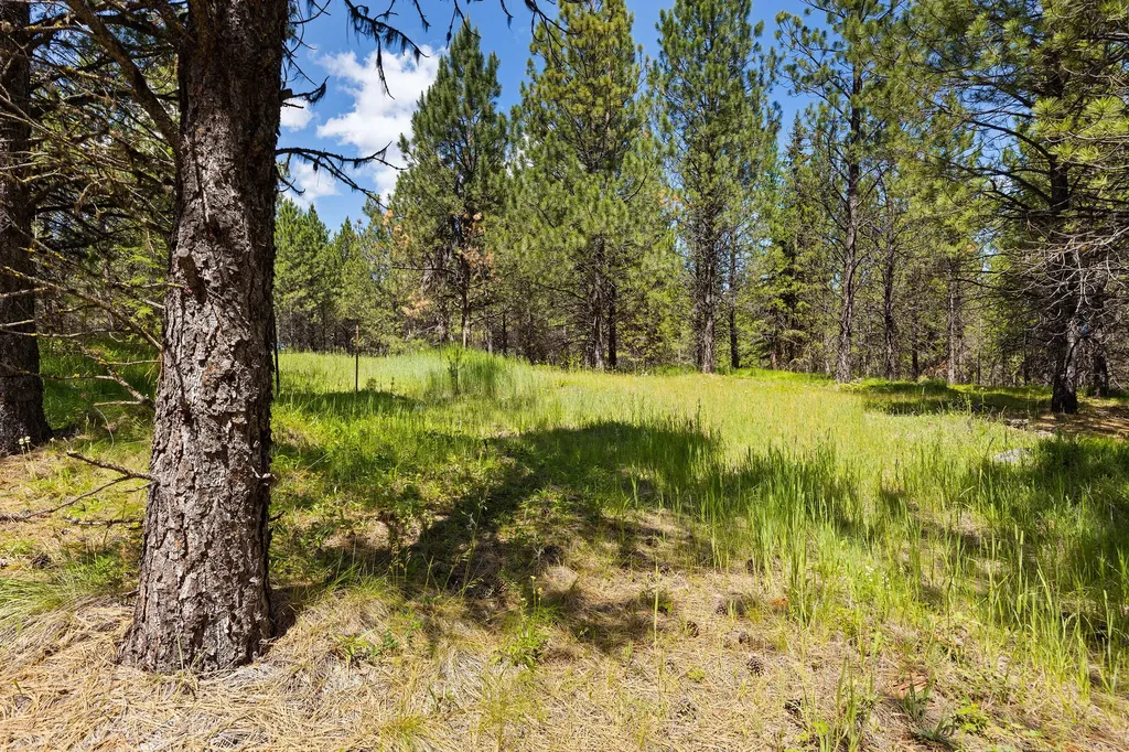 9295 Lost Prairie Road Marion MT 59925