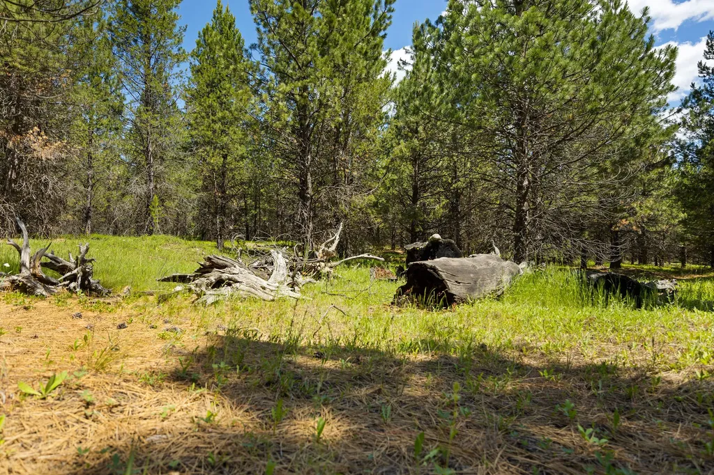 9295 Lost Prairie Road Marion MT 59925
