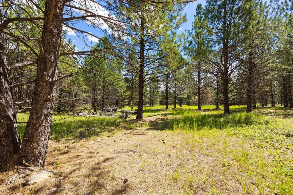 9295 Lost Prairie Road Marion MT 59925