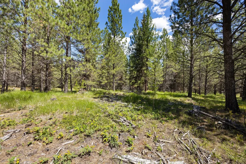 9295 Lost Prairie Road Marion MT 59925