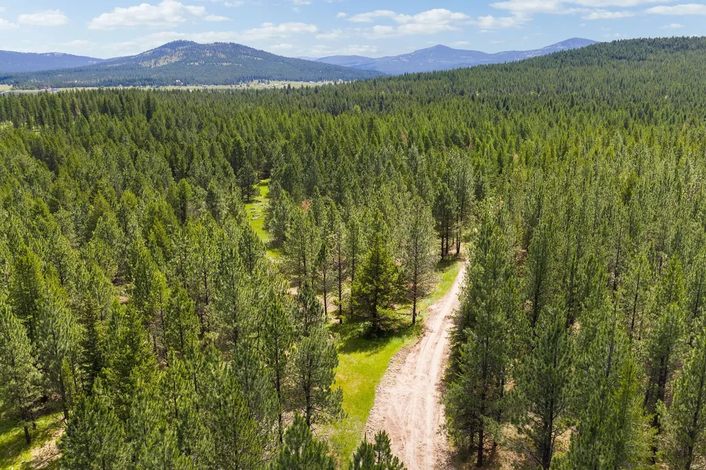 9295 Lost Prairie Road Marion MT 59925