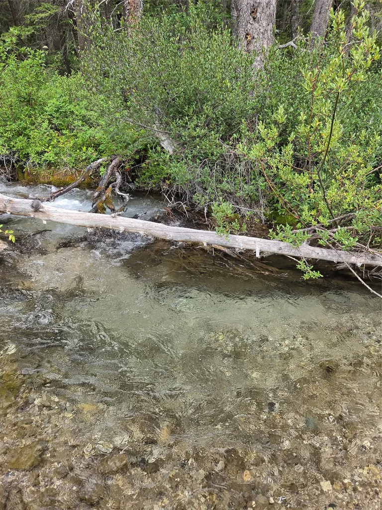 Nhn Benchmark Road Augusta MT 59410
