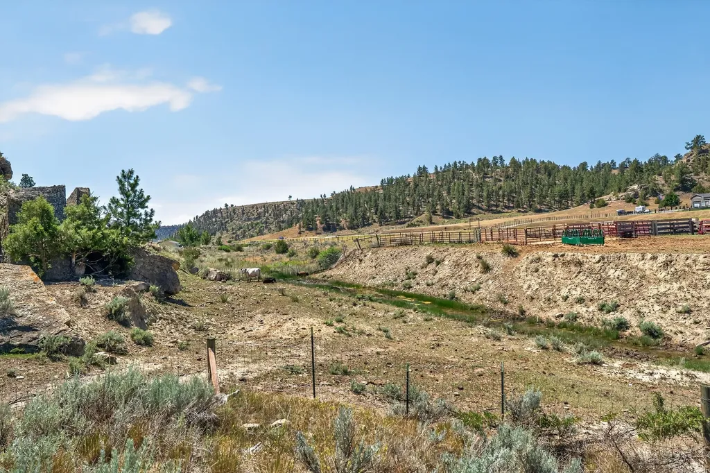 2727 Buffalo Trail Road Molt MT 59057