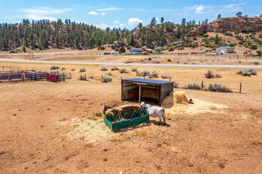 2727 Buffalo Trail Road Molt MT 59057