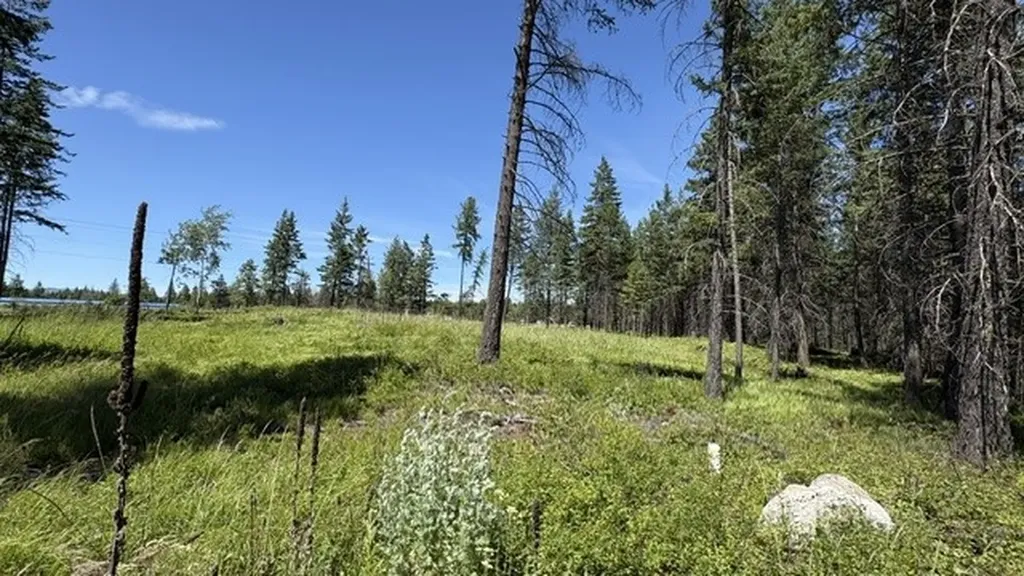 5089 Us Hwy 93 S Whitefish MT 59937