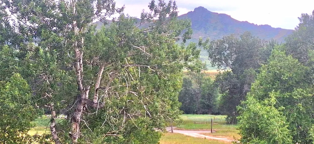 9032 Upper Highwood Creek Road Highwood MT 59450