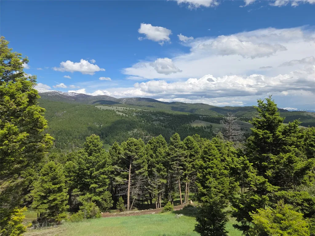Tbd Bivens Creek Road Sheridan MT 59749