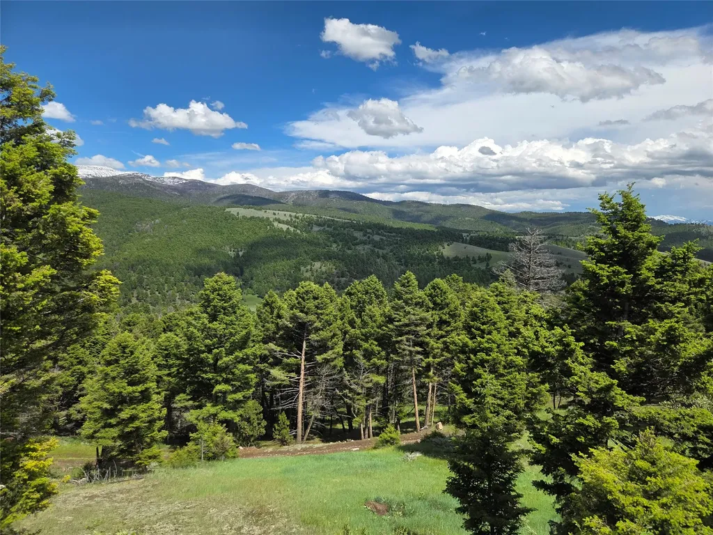 Tbd Bivens Creek Road Sheridan MT 59749