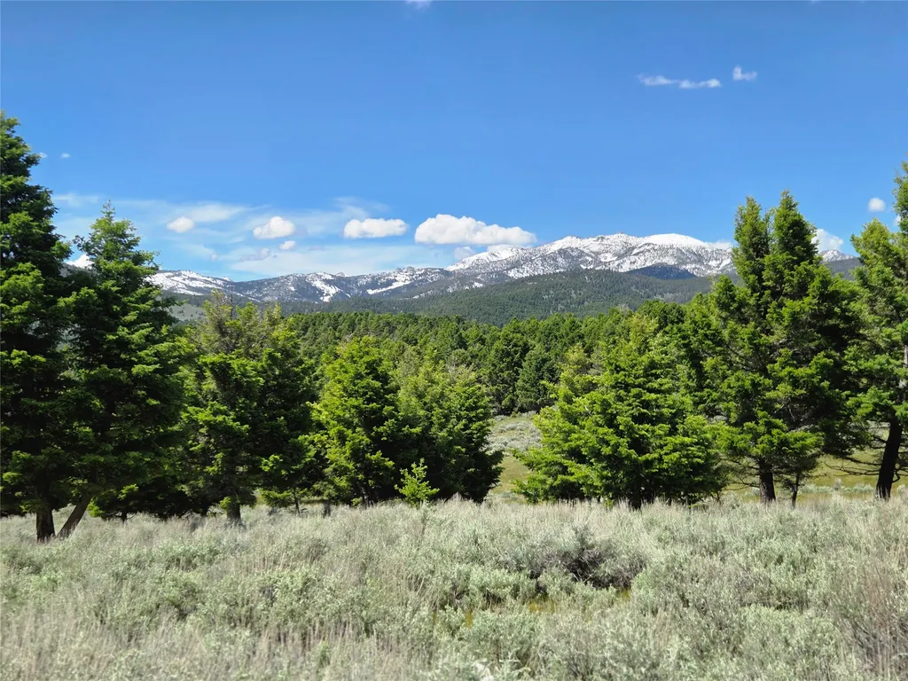 Tbd Bivens Creek Road Sheridan MT 59749