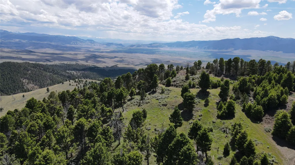 Tbd Bivens Creek Road Sheridan MT 59749