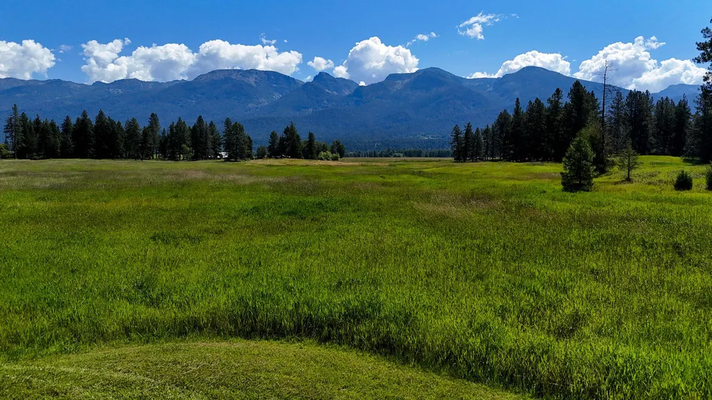 34733 Courville Trail Polson MT 59860