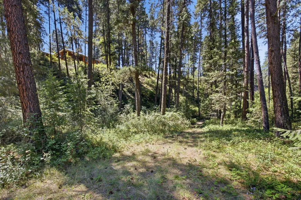 56 W River Ridge Lane Superior MT 59872