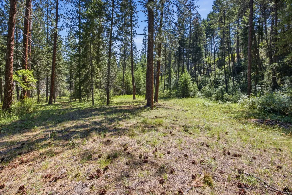 56 W River Ridge Lane Superior MT 59872