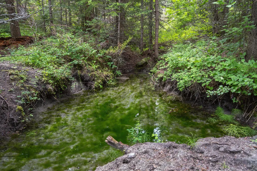 925 Yelping Coyote Run Trego MT 59934
