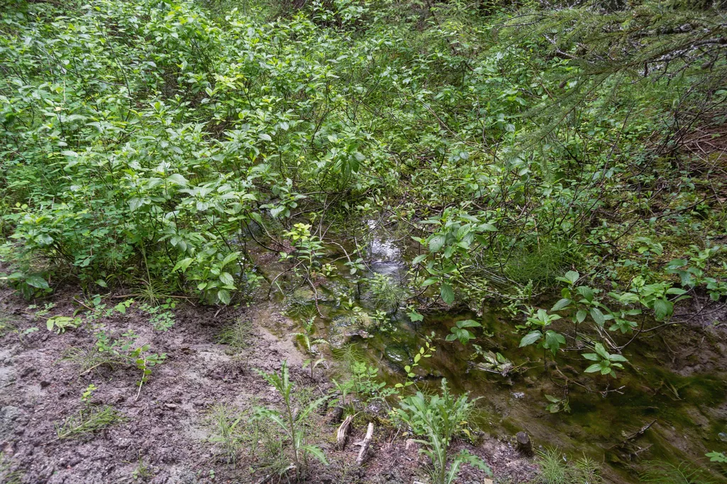 925 Yelping Coyote Run Trego MT 59934