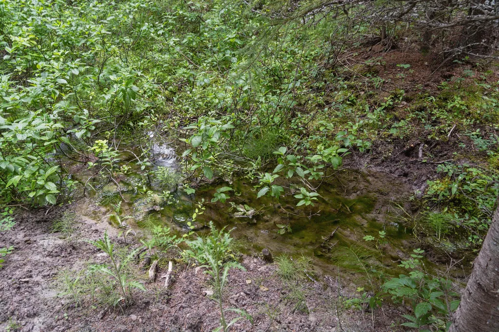 925 Yelping Coyote Run Trego MT 59934