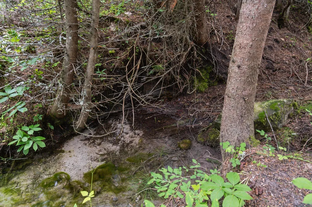925 Yelping Coyote Run Trego MT 59934