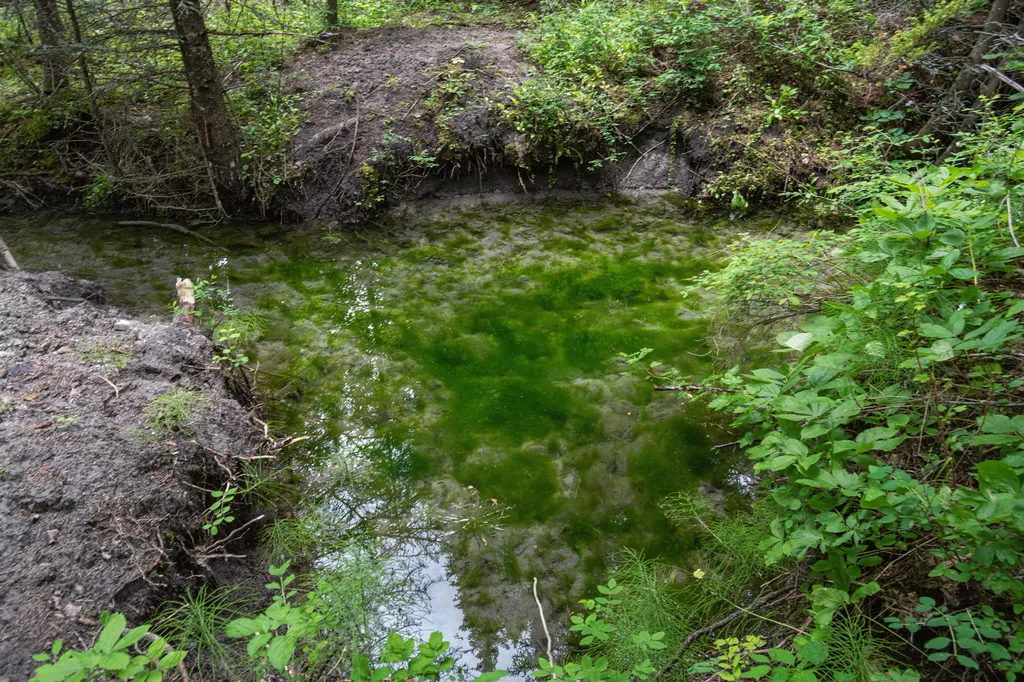 925 Yelping Coyote Run Trego MT 59934